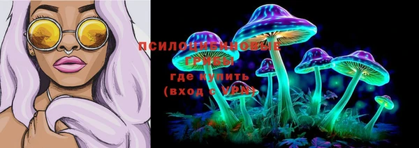 ECSTASY Богородицк