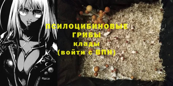 ECSTASY Богородицк