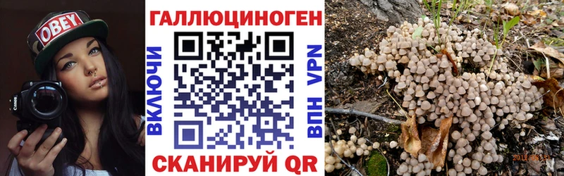 Псилоцибиновые грибы GOLDEN TEACHER  blacksprut ссылка  дарк нет наркотические препараты  Долинск 